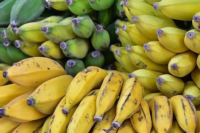 frutas que empiezan por f 3 palabras empieza por