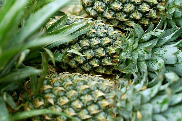 frutas que empiezan por o 5 palabras empieza por